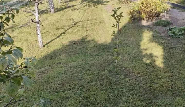 Działka rod Chojnice