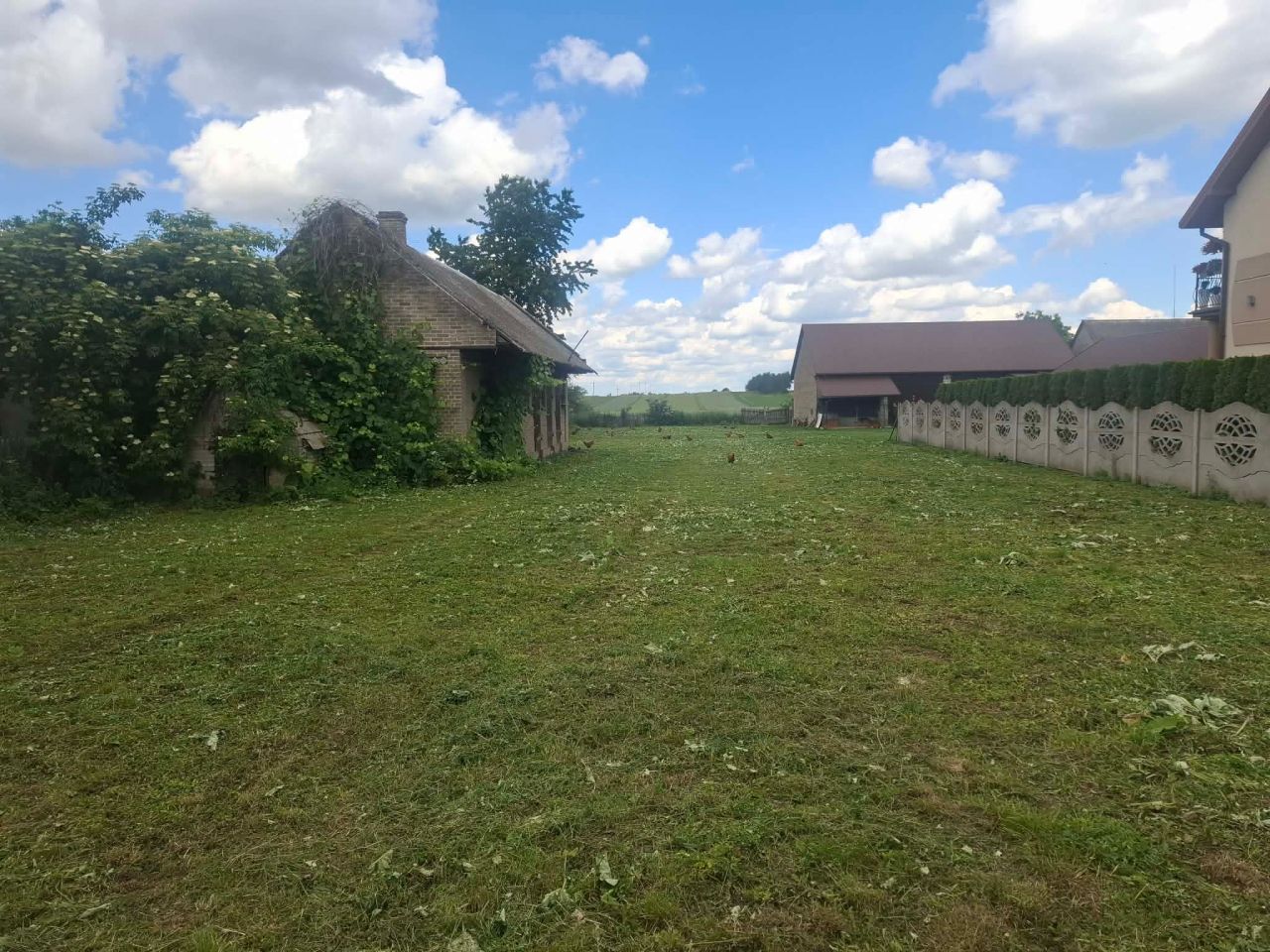 Działka rolno-budowlana Tychów Stary. Zdjęcie 1