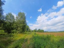 Działka budowlana Kołtki. Zdjęcie 3