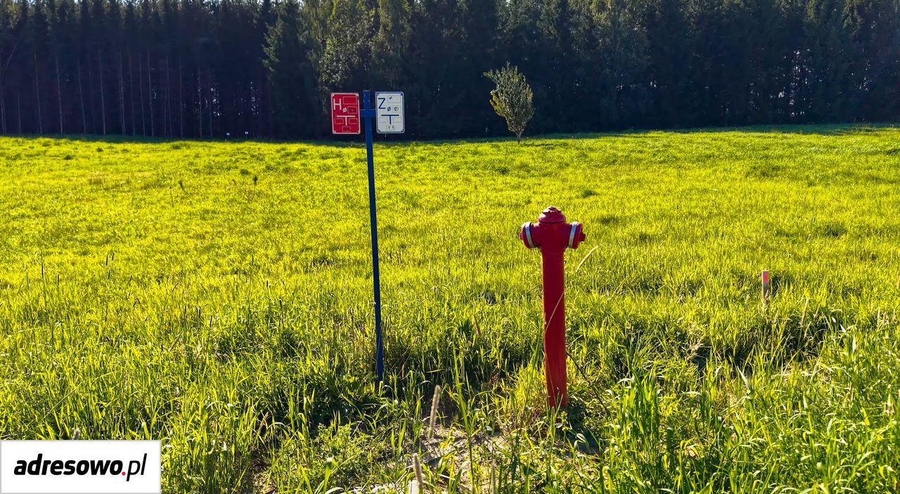 Działka budowlana Rogowo. Zdjęcie 18