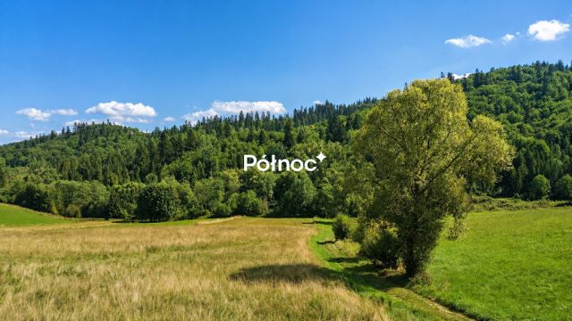 Działka budowlana Falsztyn, ul. Ogrodowa. Zdjęcie 6