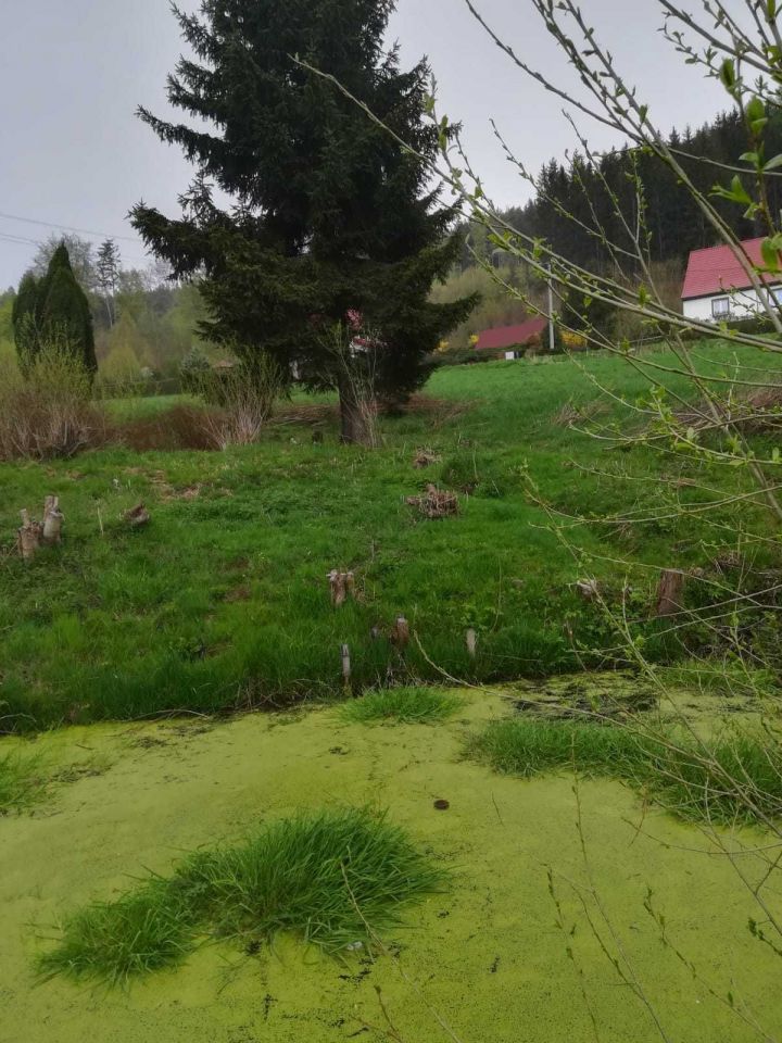 Działka budowlana Ludwikowice Kłodzkie. Zdjęcie 7