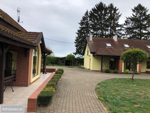 siedlisko Najdymowo. Zdjęcie 12