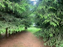 Działka siedliskowa Guzówka. Zdjęcie 1