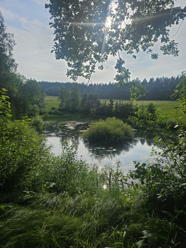 Działka inna Weremień. Zdjęcie 6