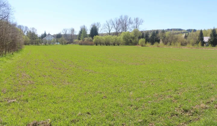 Działka rolna Roztoki