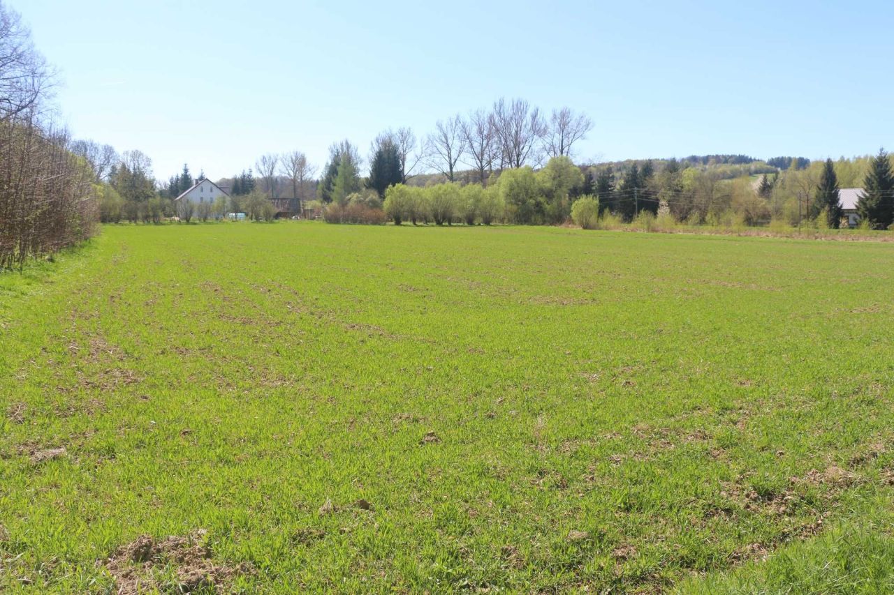 Działka rolna Roztoki