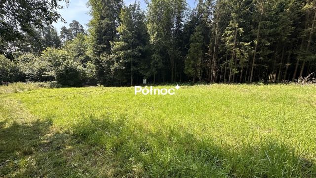 Działka budowlana Rabka-Zdrój, ul. Garncarska. Zdjęcie 3