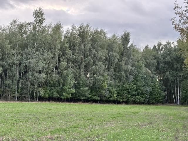 Działka leśna Przykona, ul. Słoneczna. Zdjęcie 2