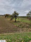 Działka rolna Kolonia Nadwiślańska. Zdjęcie 2