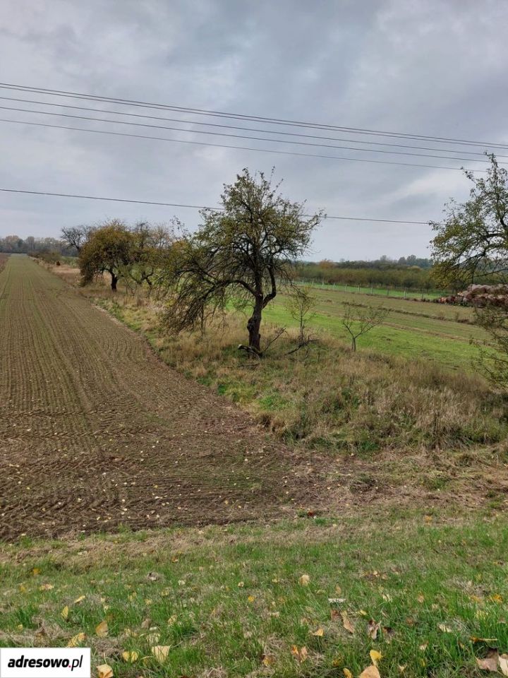 Działka rolna Kolonia Nadwiślańska. Zdjęcie 3