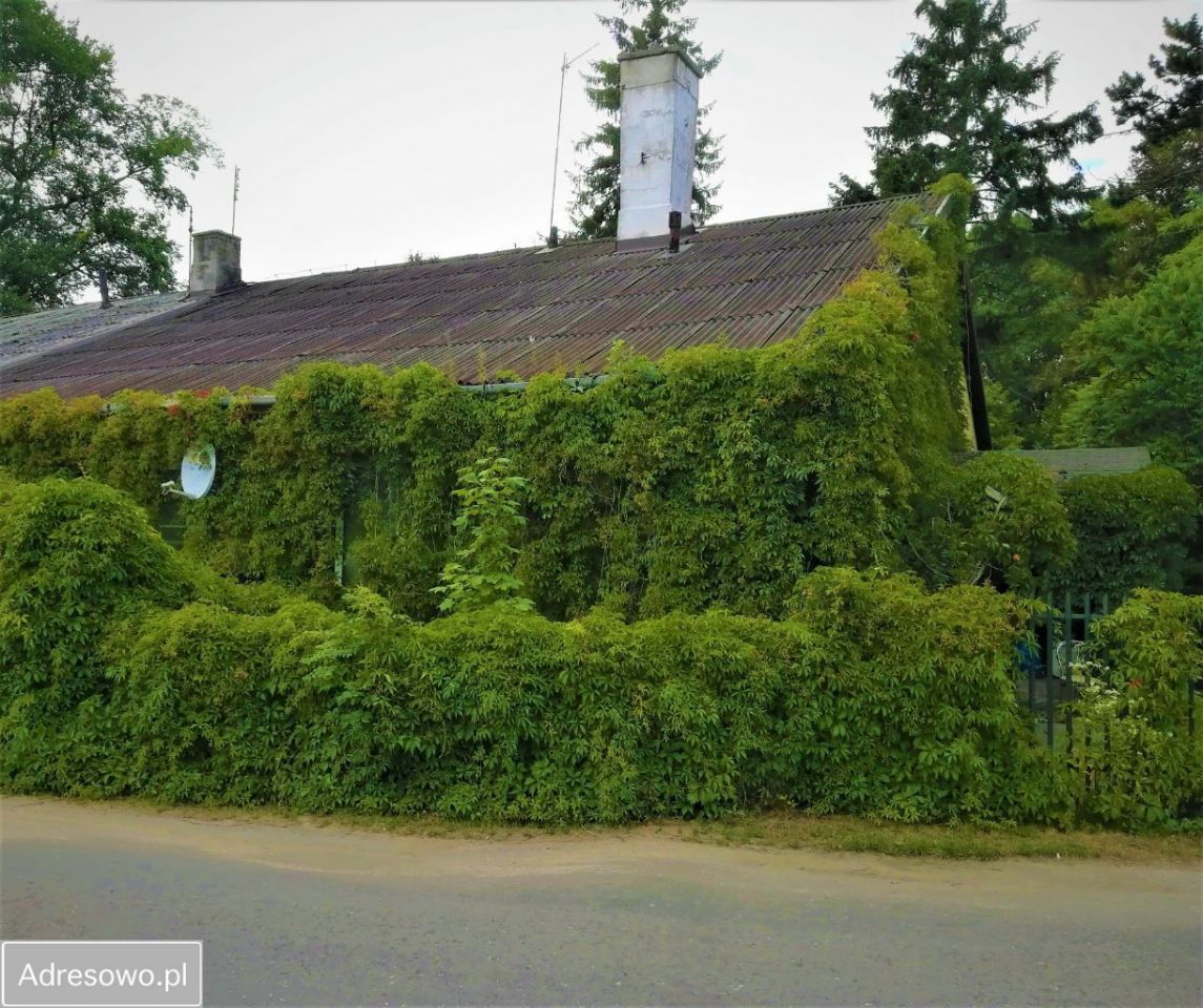 Mieszkanie 3-pokojowe Ruchna. Zdjęcie 16