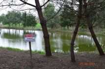 Działka rekreacyjna Surhów-Kolonia. Zdjęcie 3