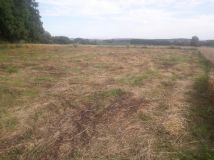 Działka siedliskowa Bolechowice Skotnica, ul. Siedliski. Zdjęcie 4