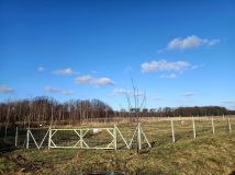 Działka rolno-budowlana Drołtowice. Zdjęcie 4