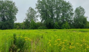 Działka leśna Borownia