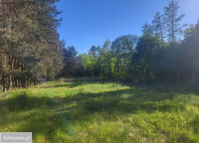 Działka rolno-budowlana Kustrzyce. Zdjęcie 1