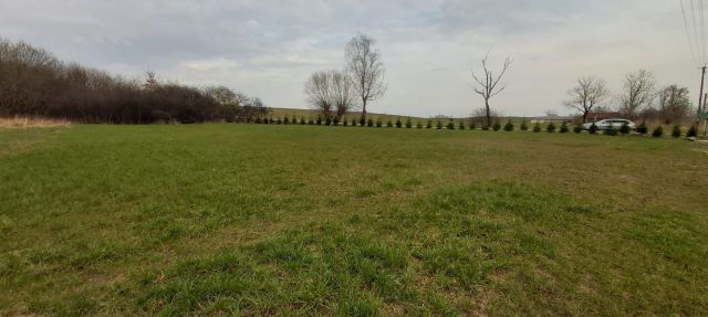 Działka budowlana Wielochowo. Zdjęcie 1