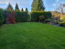 Działka rod Bytom, ul. Siemianowicka. Zdjęcie 4