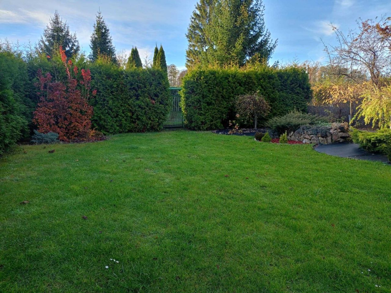 Działka rod Bytom, ul. Siemianowicka. Zdjęcie 5