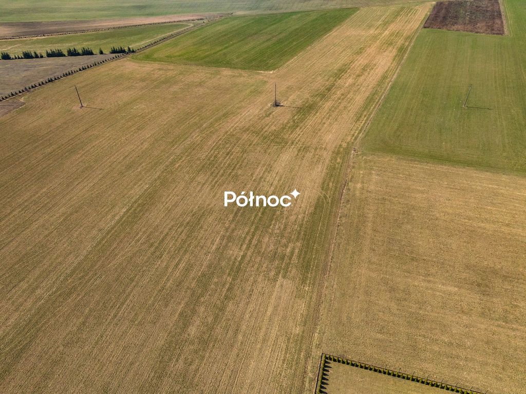 Działka rolna Piecki. Zdjęcie 3