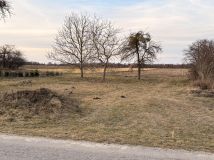 Działka budowlana Wygoda. Zdjęcie 1