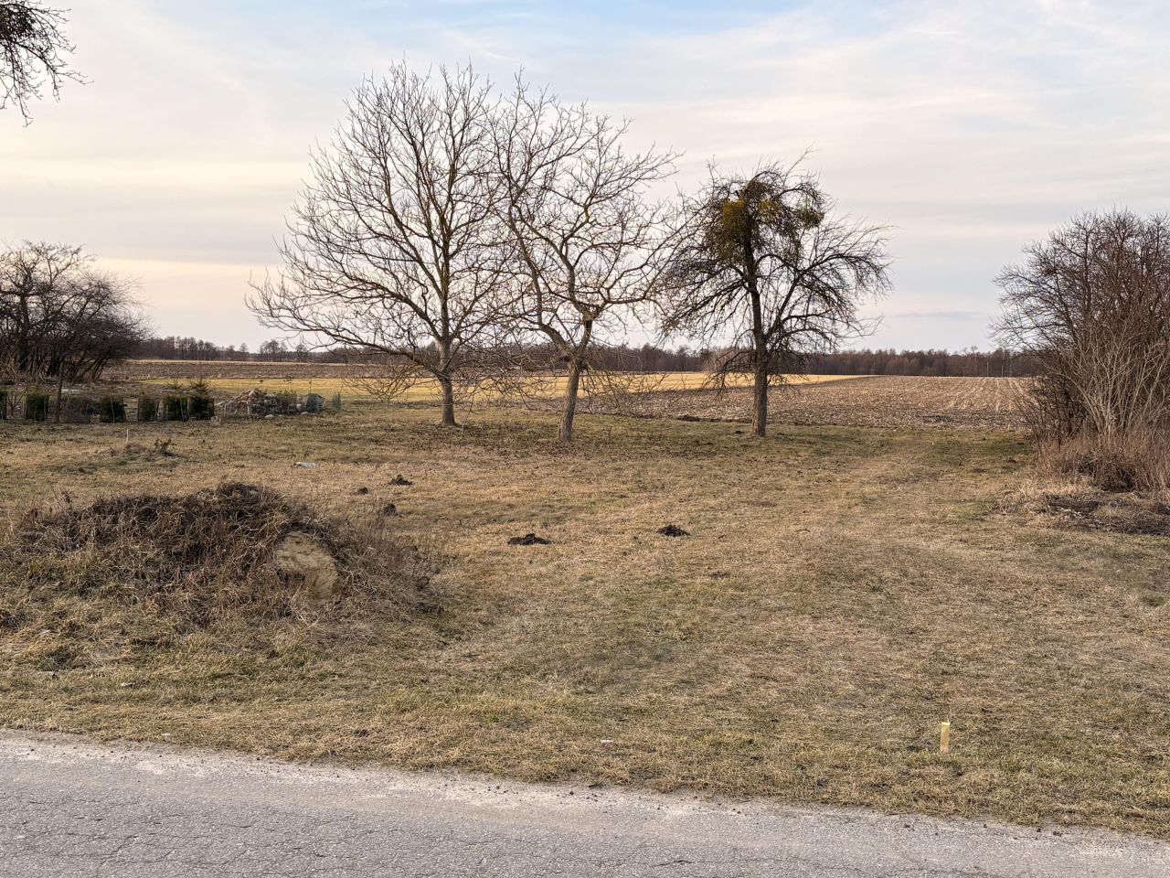 Działka budowlana Wygoda. Zdjęcie 2