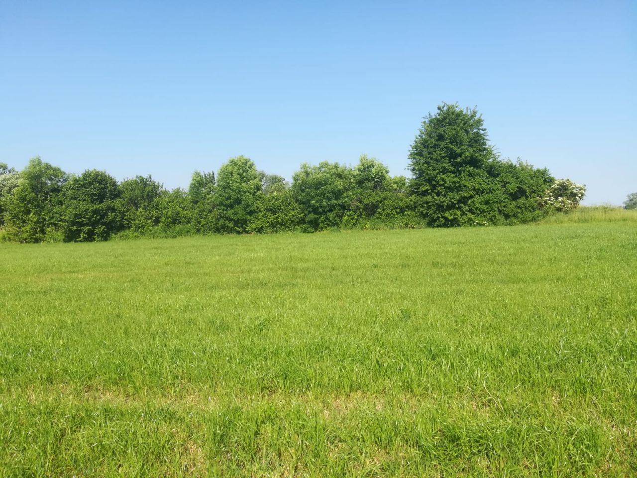 Działka budowlana Ligowo, ul. Kolejowa. Zdjęcie 2