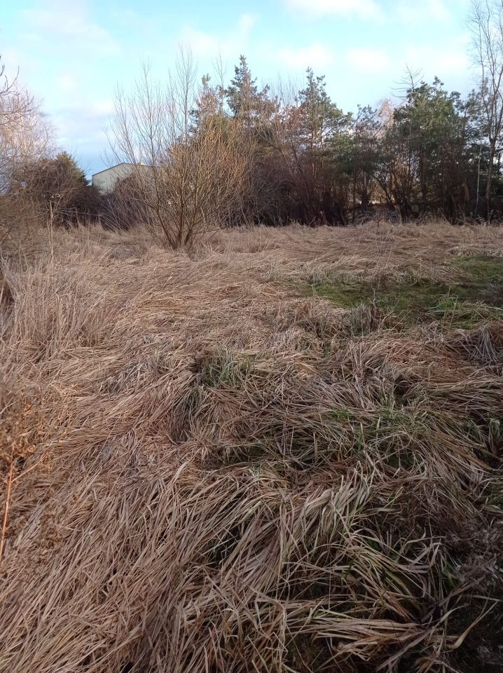 Działka budowlana Radom Żakowice, ul. Czarna. Zdjęcie 6