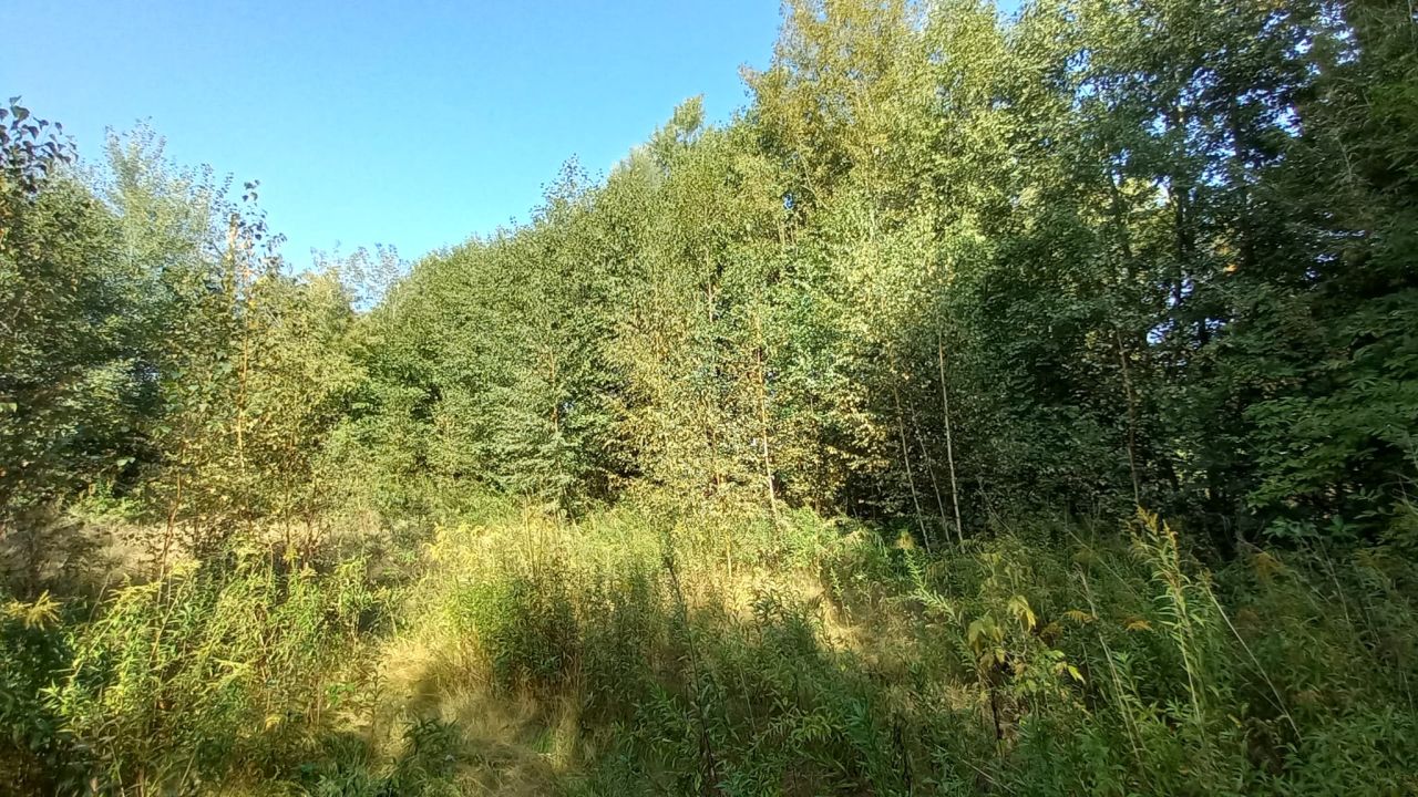 Działka budowlana Warszawa Białołęka, ul. Calineczki