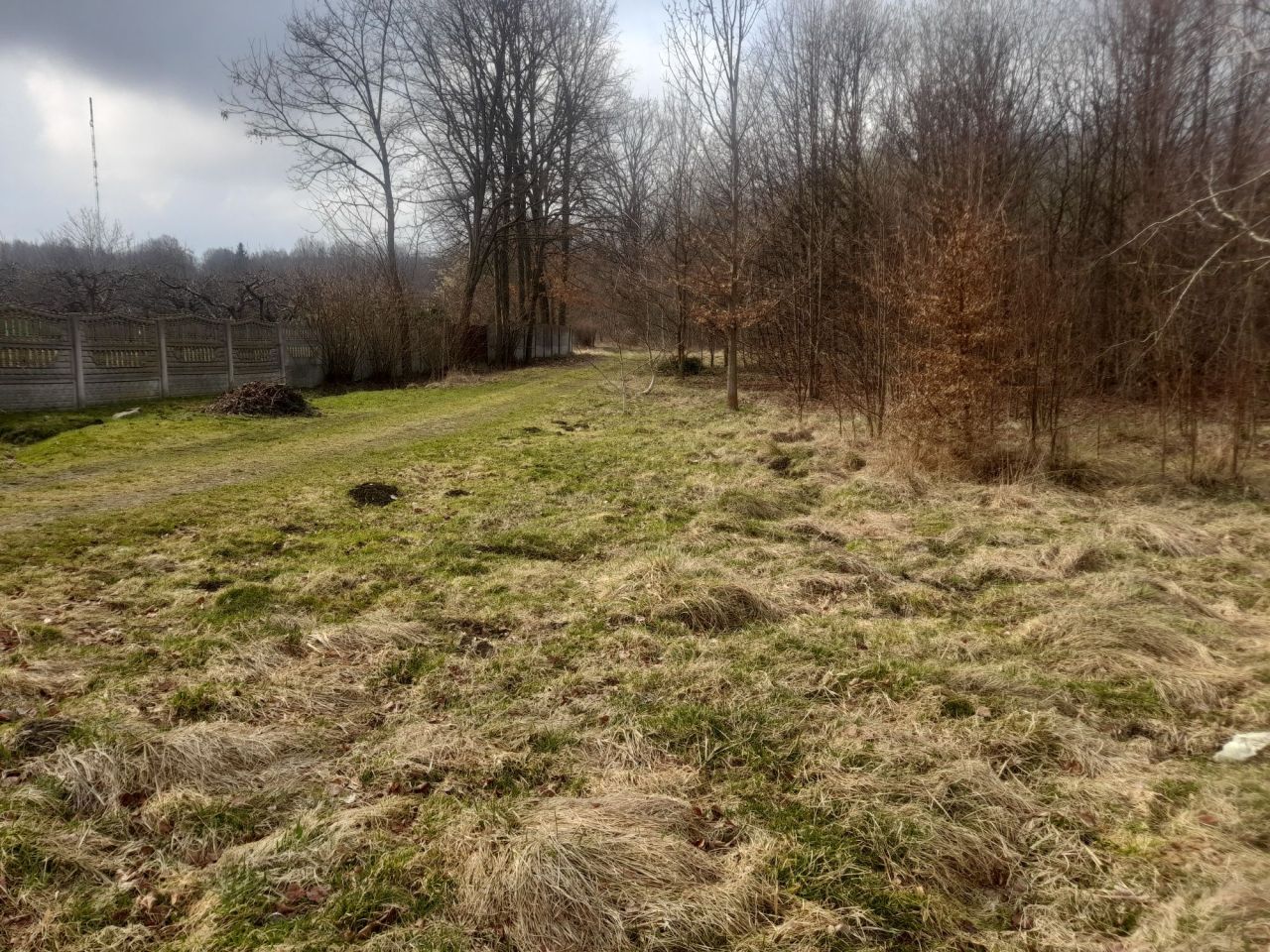 Działka Kozłowiec. Zdjęcie 6