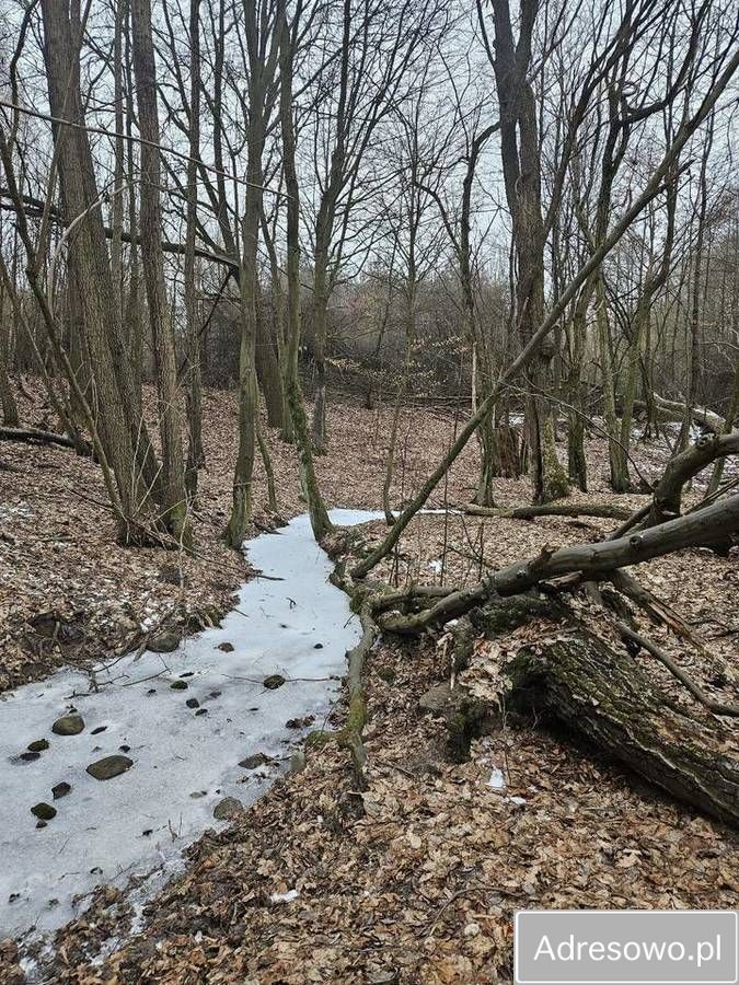 Działka budowlana Łazy Wielkie. Zdjęcie 3