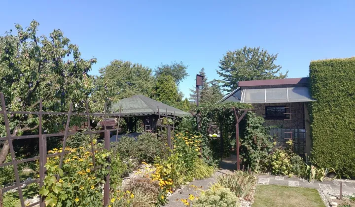 Działka rod Zdzieszowice