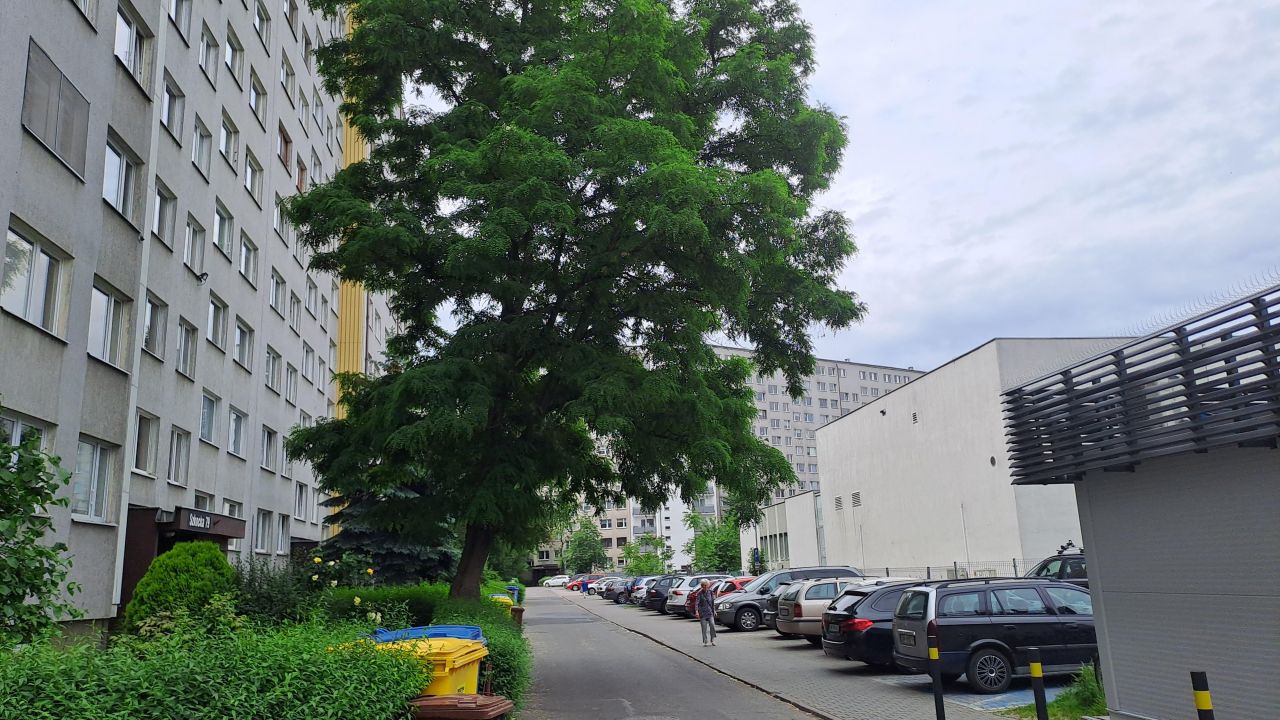 Mieszkanie 2-pokojowe Wrocław Fabryczna, ul. Szkocka. Zdjęcie 22