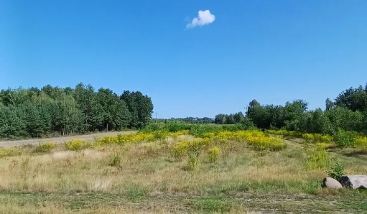Działka budowlana Piotrowiec, ul. Starowiejska