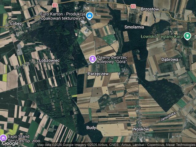 Działka leśna Parzęczew. Zdjęcie 1