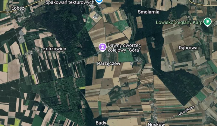 Działka leśna Parzęczew