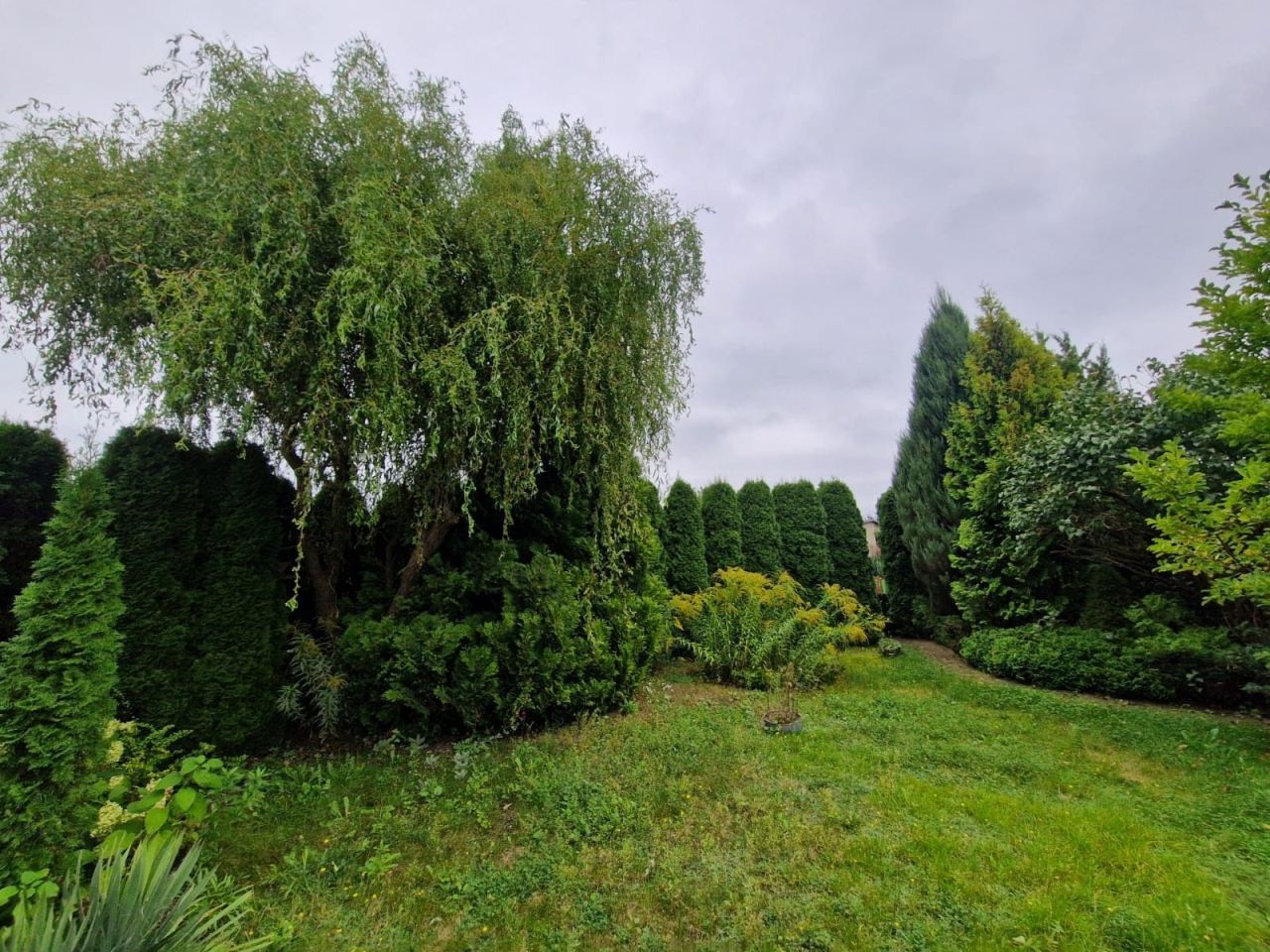 Działka rod Poznań Ławica, ul. Złotowska. Zdjęcie 8