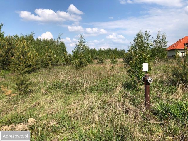 Działka budowlana Wólka Kosowska, ul. Melonowa. Zdjęcie 1