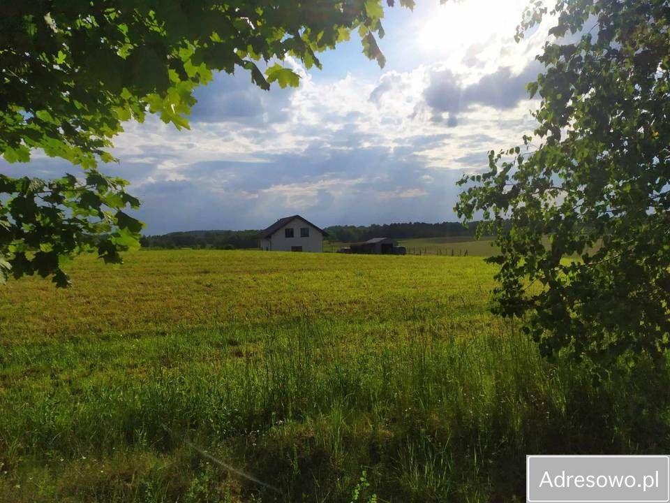 Działka budowlana Krzywe. Zdjęcie 3