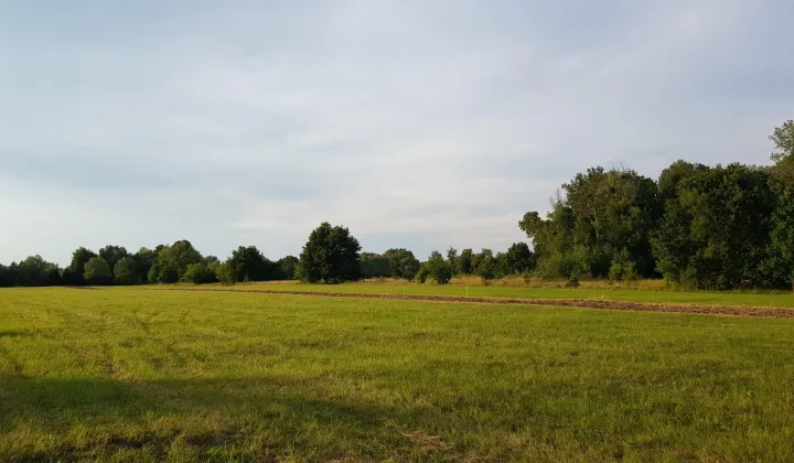 Działka budowlana Wilków Polski