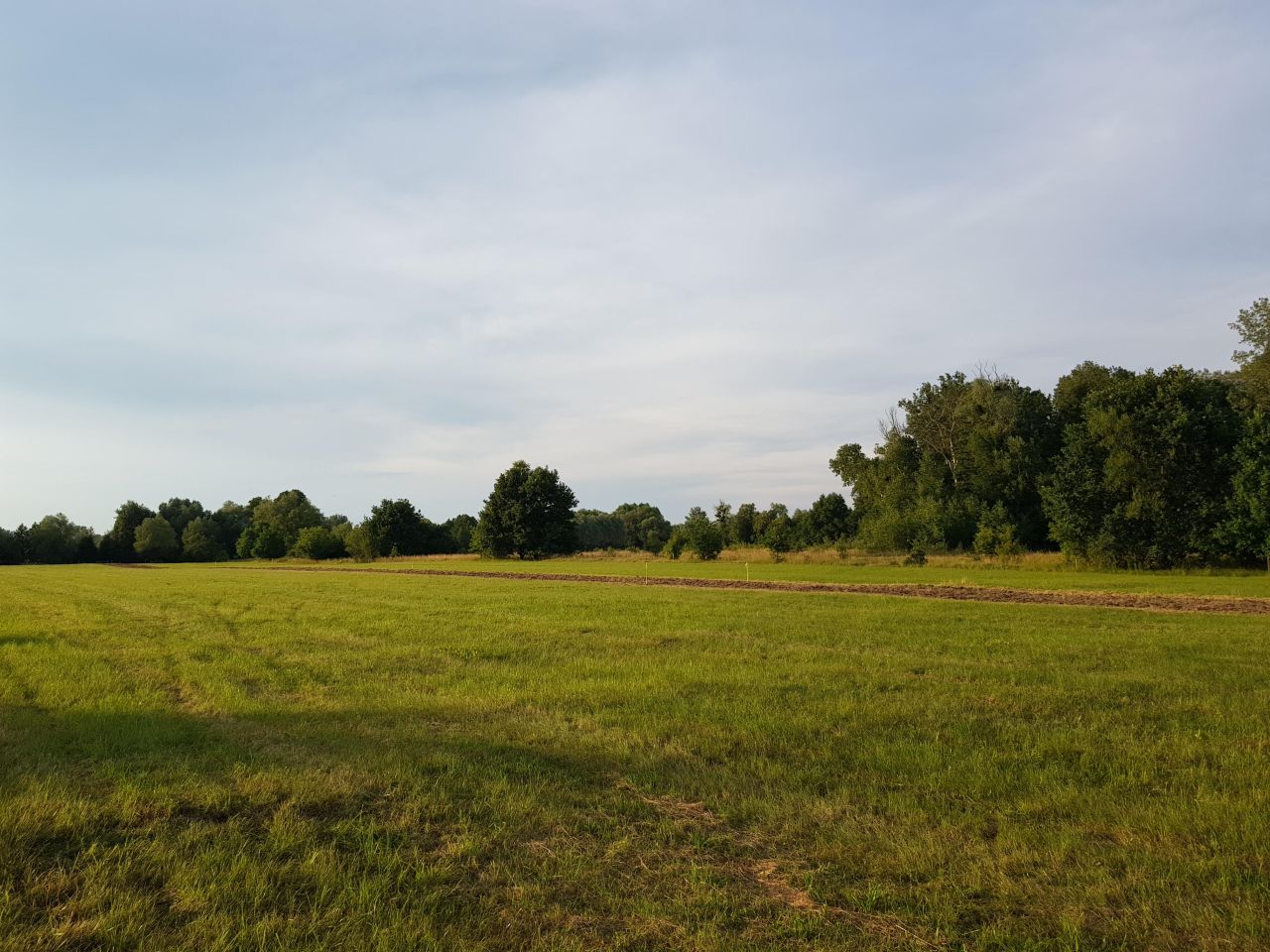 Działka budowlana Wilków Polski