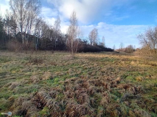 Działka inwestycyjna Daleszyce. Zdjęcie 10