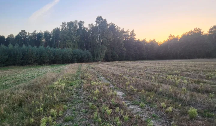 Działka budowlana Natolin