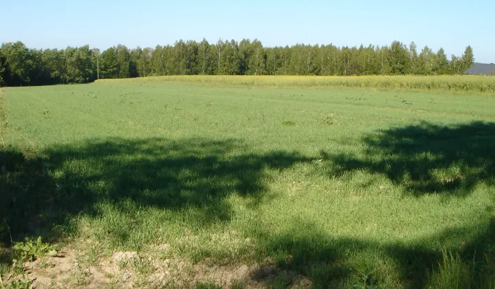 Działka budowlana Żabia Wola