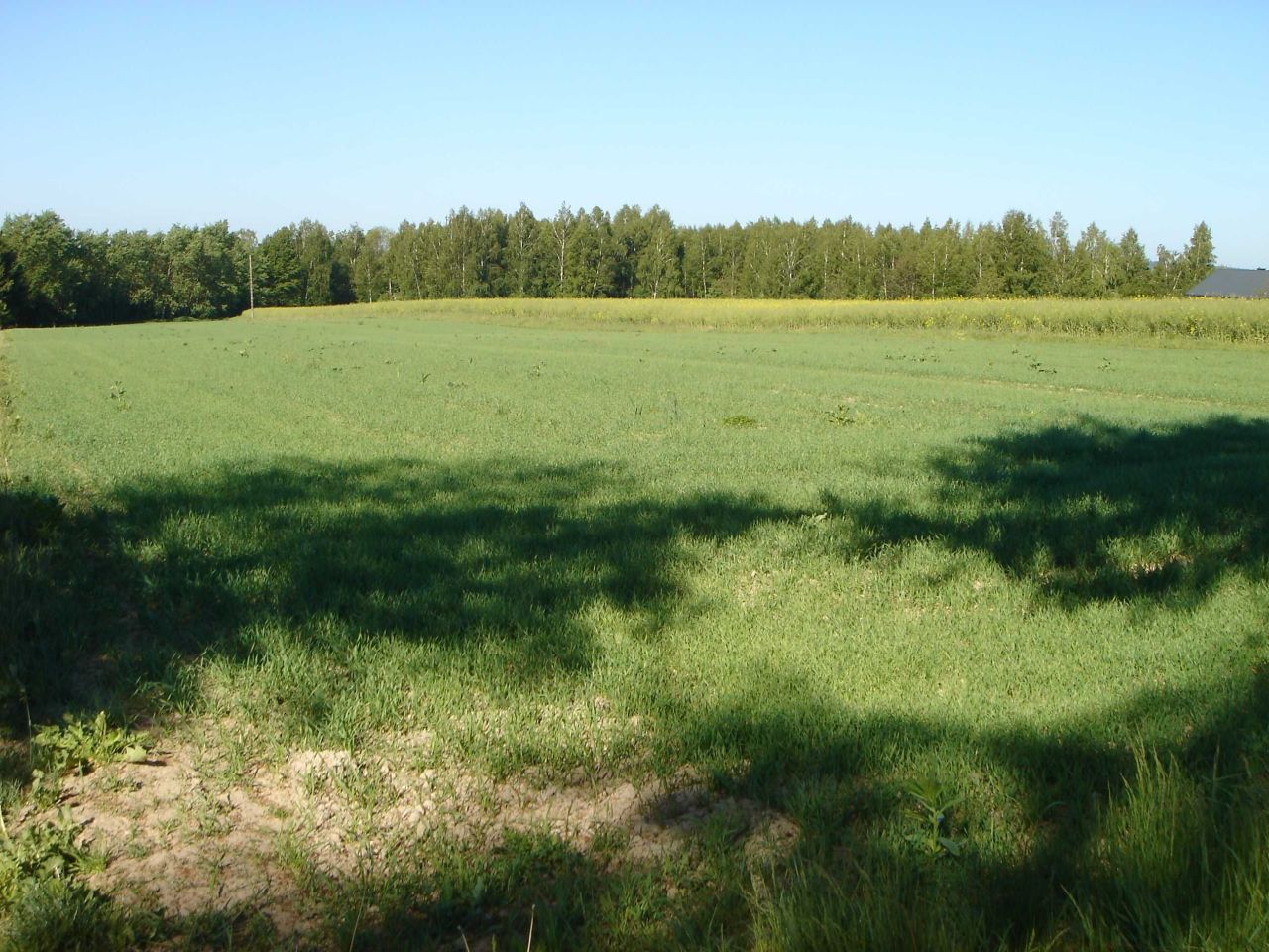 Działka budowlana Żabia Wola