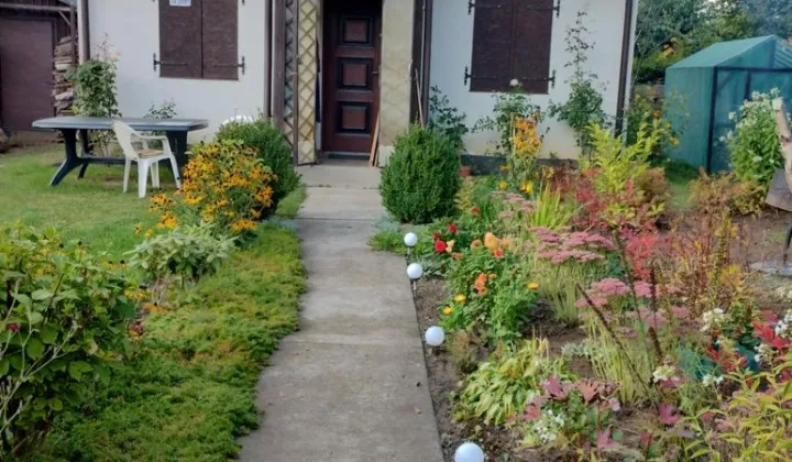 Działka rod Wójtowo