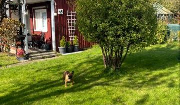 Działka rod Rębiechowo