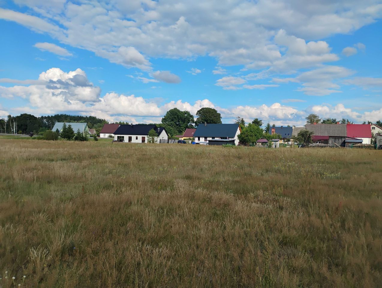 Działka budowlana Niekursko. Zdjęcie 8