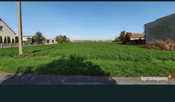 dom wolnostojący, 7 pokoi Leszno, Zachodnia